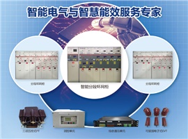 什么是智能分段環(huán)網(wǎng)柜？一圖告訴您！