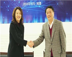 銳意進(jìn)取，創(chuàng)新發(fā)展—威勝電氣2019年經(jīng)營管理目標(biāo)宣貫會(huì)勝利召開