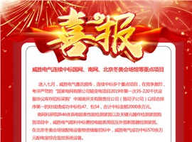 威勝電氣連續(xù)中標(biāo)國網(wǎng)、南網(wǎng)、北京冬奧會場館等重點(diǎn)項目