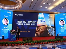 惟遠(yuǎn)能源榮獲“十三五”新能源領(lǐng)軍企業(yè)，獻(xiàn)策“十四五”新能源產(chǎn)業(yè)發(fā)展